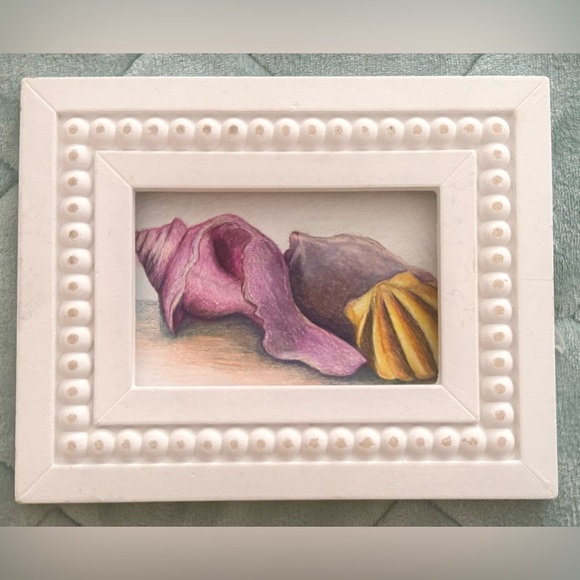 NEW Handmade Hand Crafted Beach Sea Shell Drawing Ocean Object Study Home Art - Picture 6 of 6